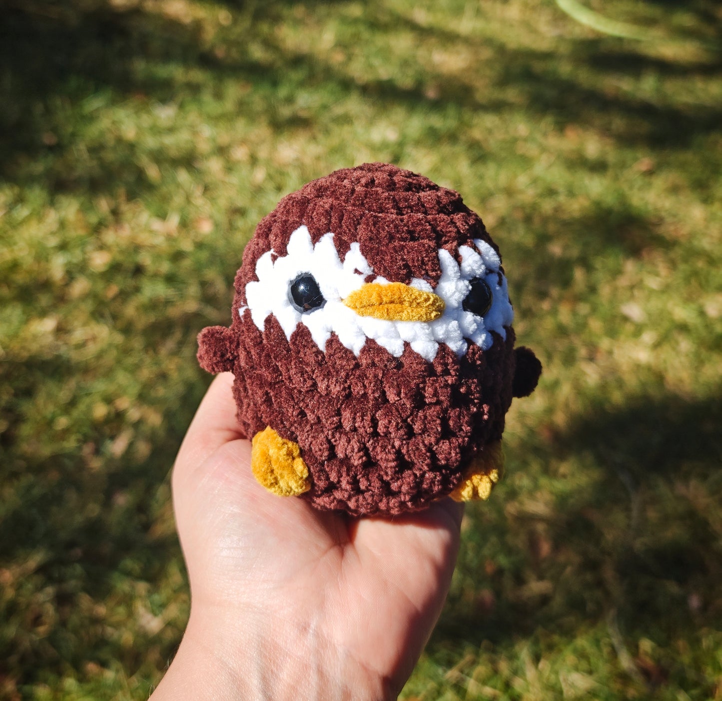 Baby birdie