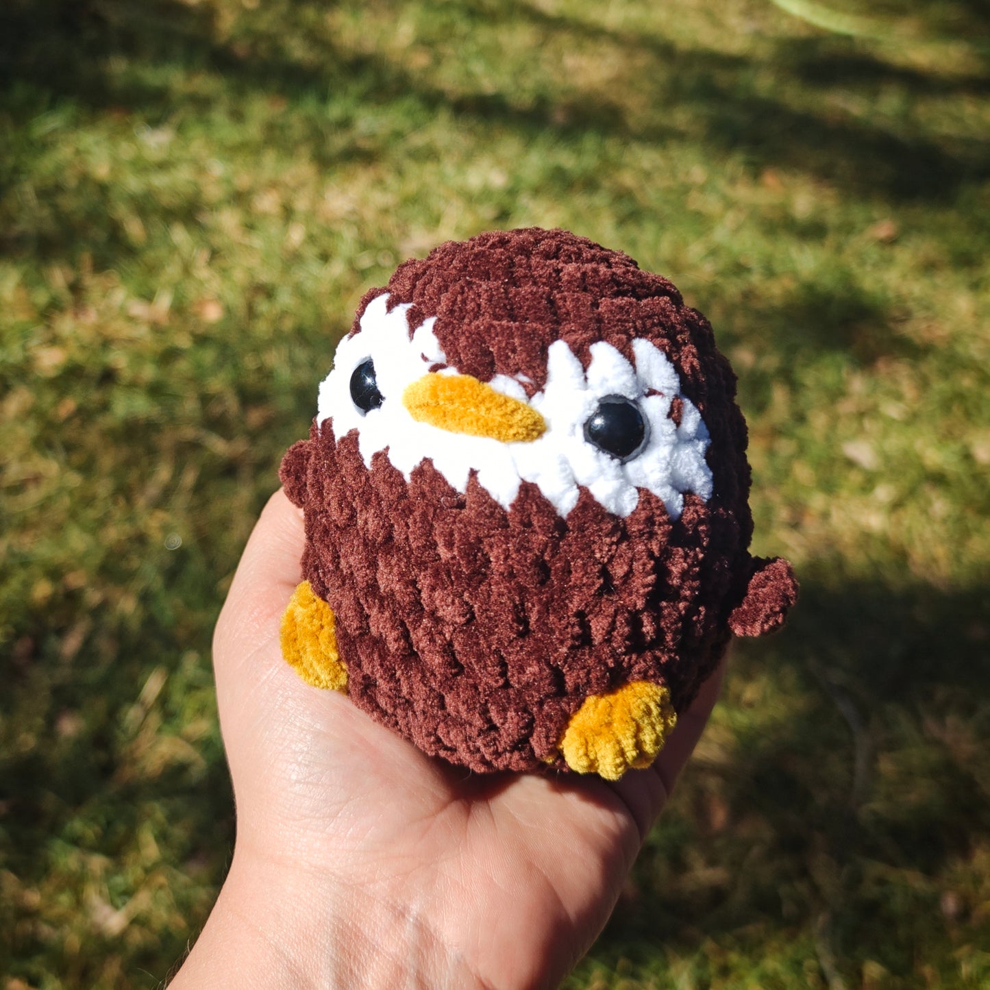 Baby birdie