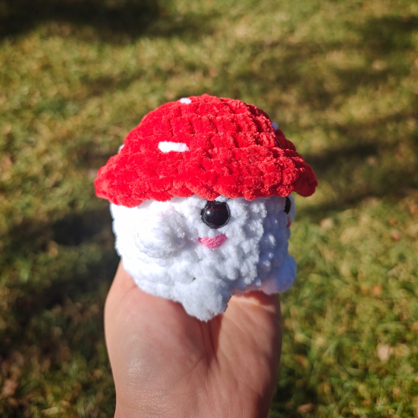 Mushroom boi